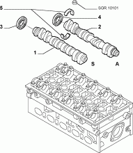 fiat  DISTRIBUTION