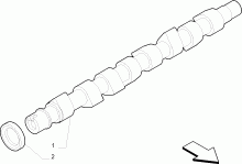fiat  DISTRIBUTION