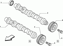 fiat  DISTRIBUTION