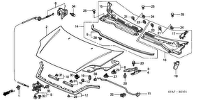 honda B__5101 ENGINE HOOD (RH)