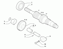 fiat  PRIMARY SHAFT AND GEAR LEAD
