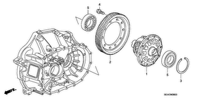 honda M__0800 ДИФФЕРЕНЦИАЛ