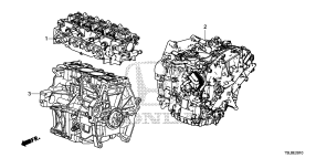 honda E__2010 ENGINE ASSY./ TRANSMISSION  ASSY. (1.2L) (1.5L)